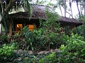 3.Siquijor Coco Grove 153